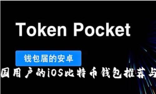 最适合中国用户的iOS比特币钱包推荐与使用指南