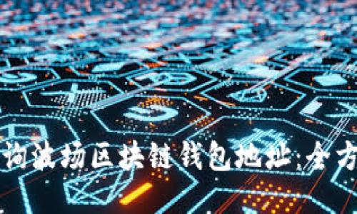 如何查询波场区块链钱包地址：全方位指南
