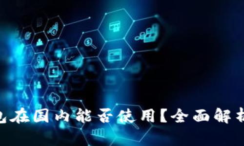 Tokenim钱包在国内能否使用？全面解析与用户指南