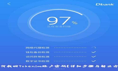 如何找回Tokenim账户密码？详细步骤与解决方案