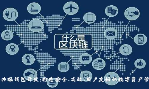 区块链共振钱包开发：打造安全、高效、用户友好的数字资产管理工具
