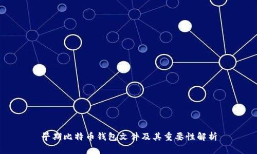早期比特币钱包文件及其重要性解析