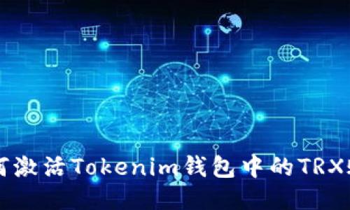 如何激活Tokenim钱包中的TRX账户