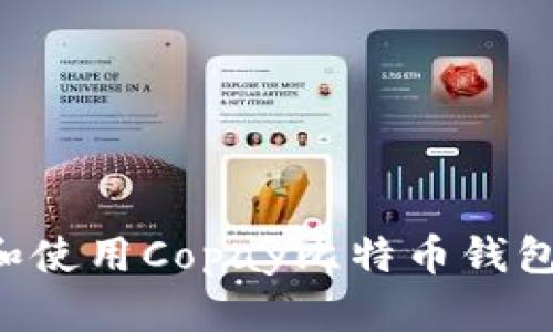 如何搭建和使用Copay比特币钱包：全面指南