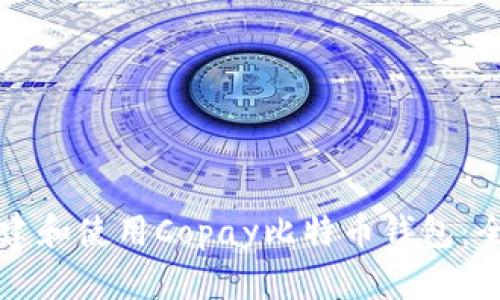 如何搭建和使用Copay比特币钱包：全面指南