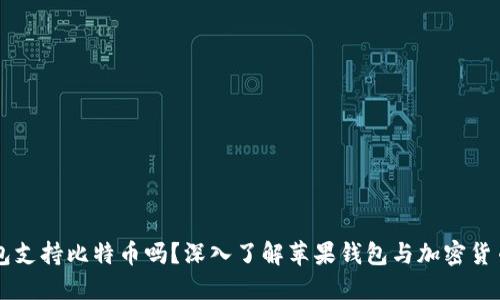 苹果钱包支持比特币吗？深入了解苹果钱包与加密货币的关系